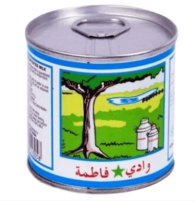 كرتون حليب مبخر وادي فاطمة  170 مل * 96